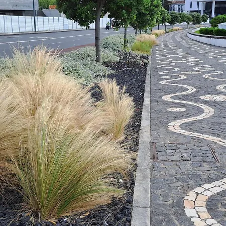 Solmar View Apartment, Azores *